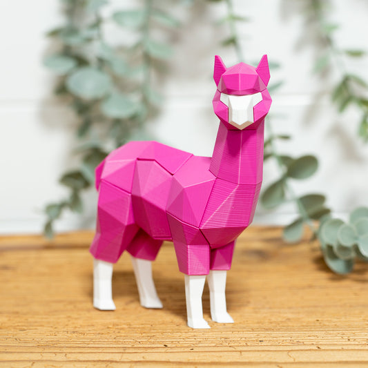 ALPAKA 3D Magnet Puzzle