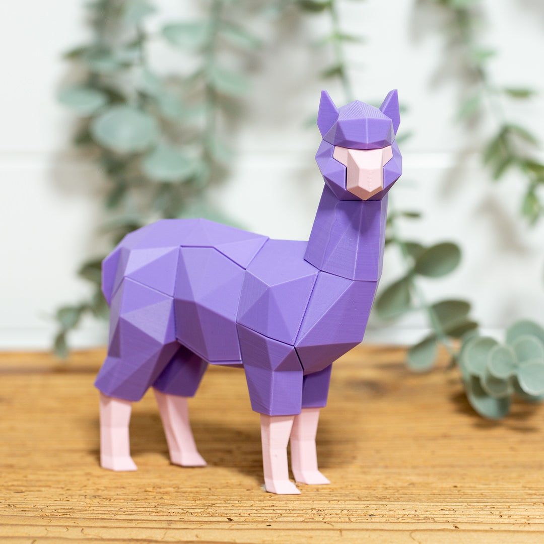 ALPAKA 3D Magnet Puzzle