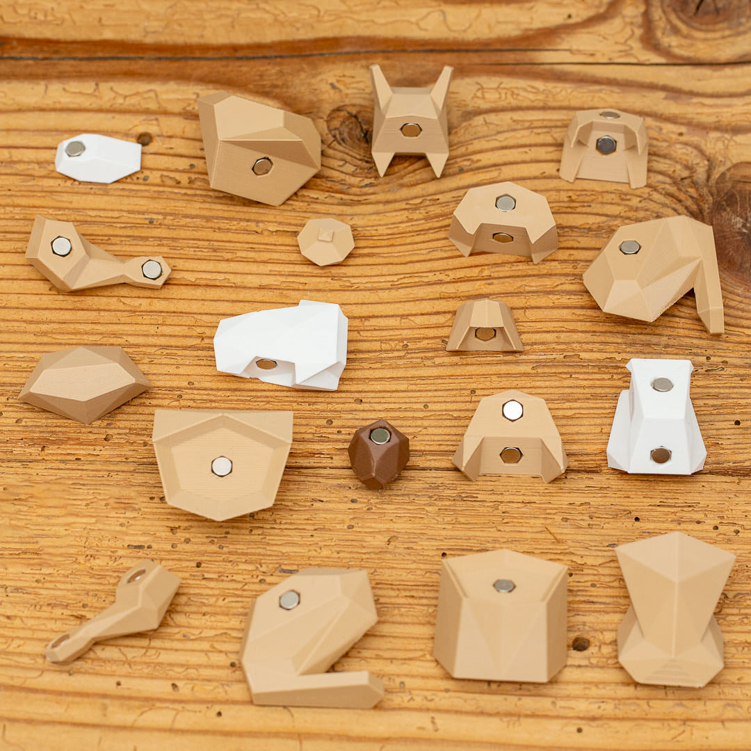 EICHHORN 3D Magnet Puzzle