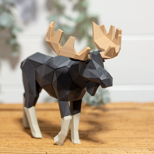 ELCH 3D Magnet Puzzle