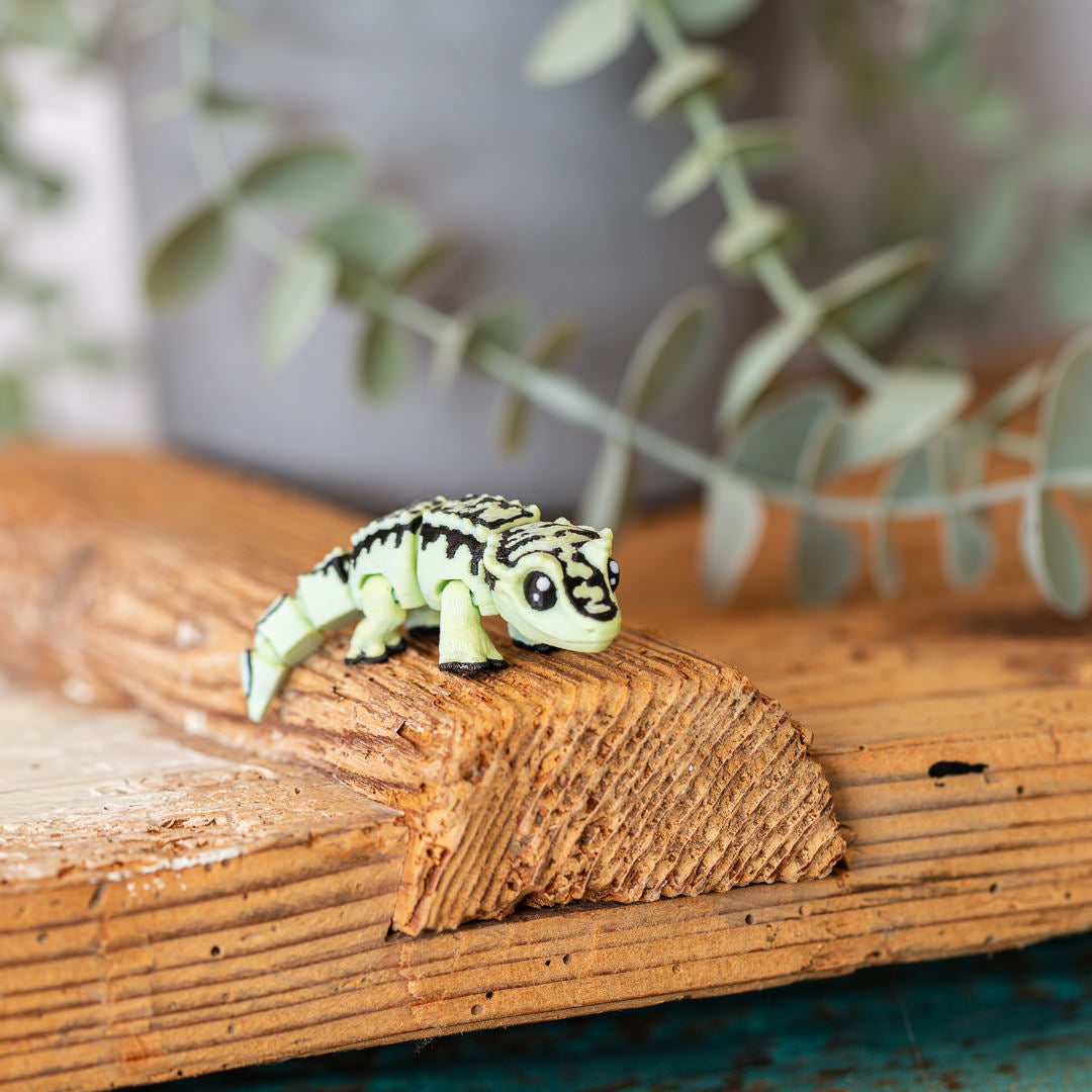 BLITZ der Gecko