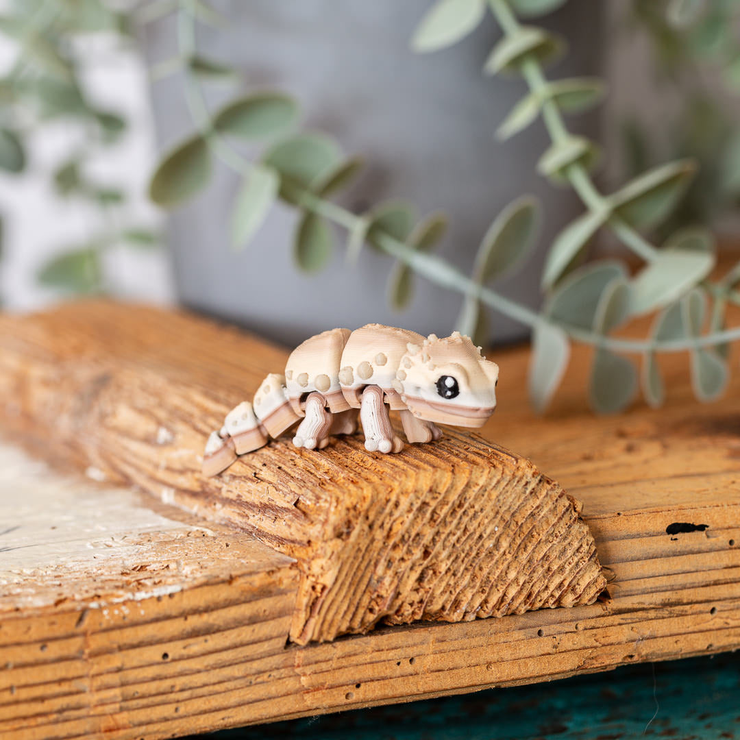SPIKE die Bartagame