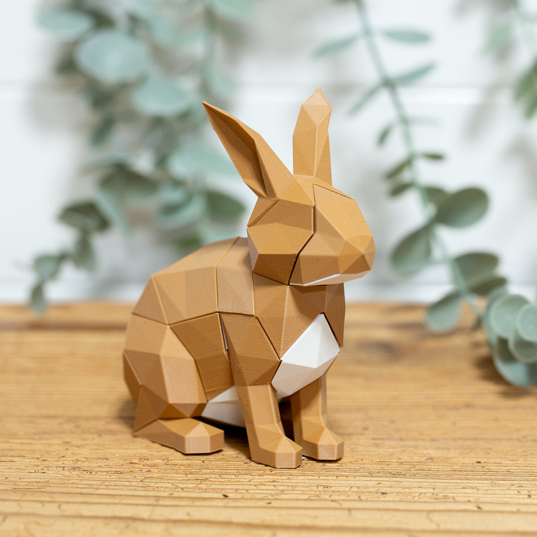 HASE 3D Magnet Puzzle