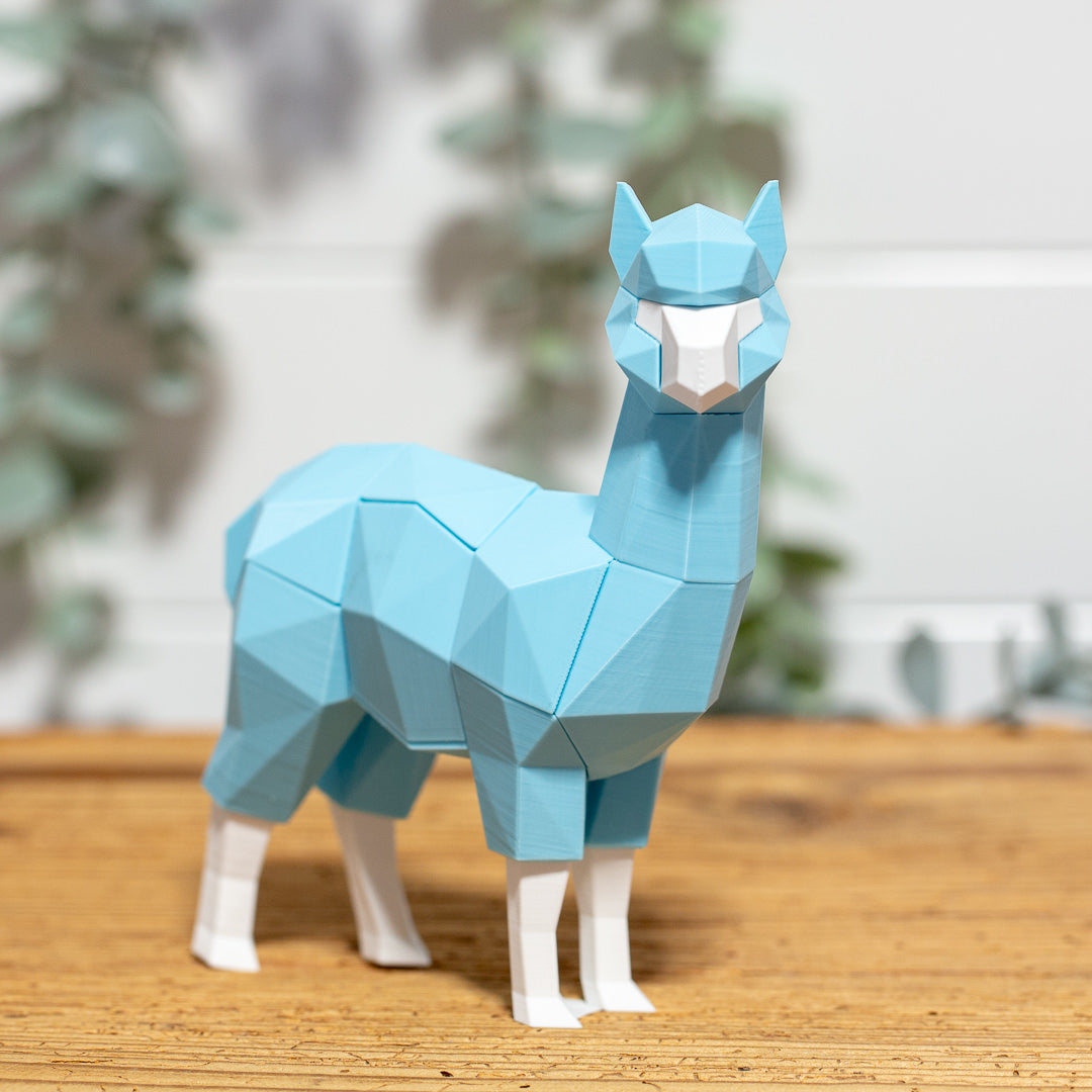 ALPAKA 3D Magnet Puzzle