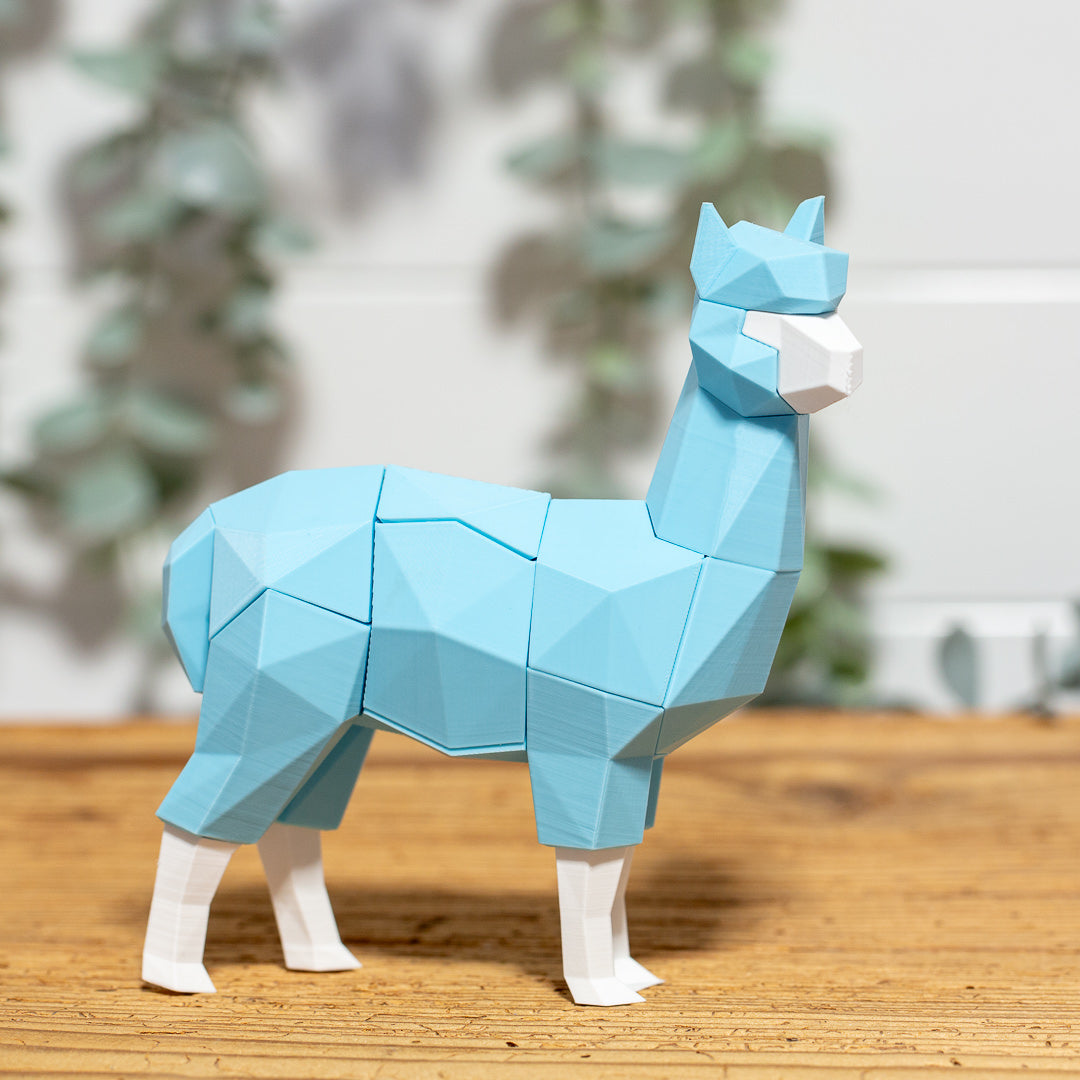 ALPAKA 3D Magnet Puzzle