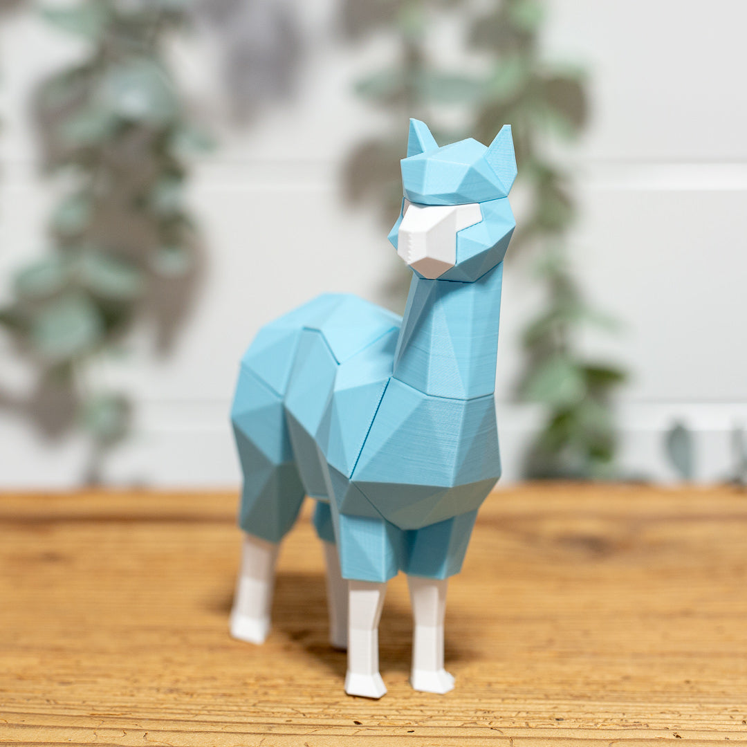 ALPAKA 3D Magnet Puzzle