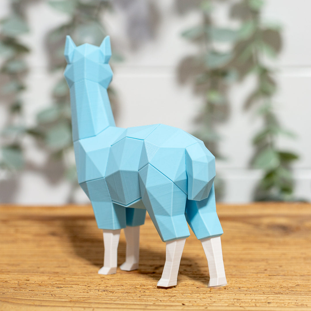 ALPAKA 3D Magnet Puzzle