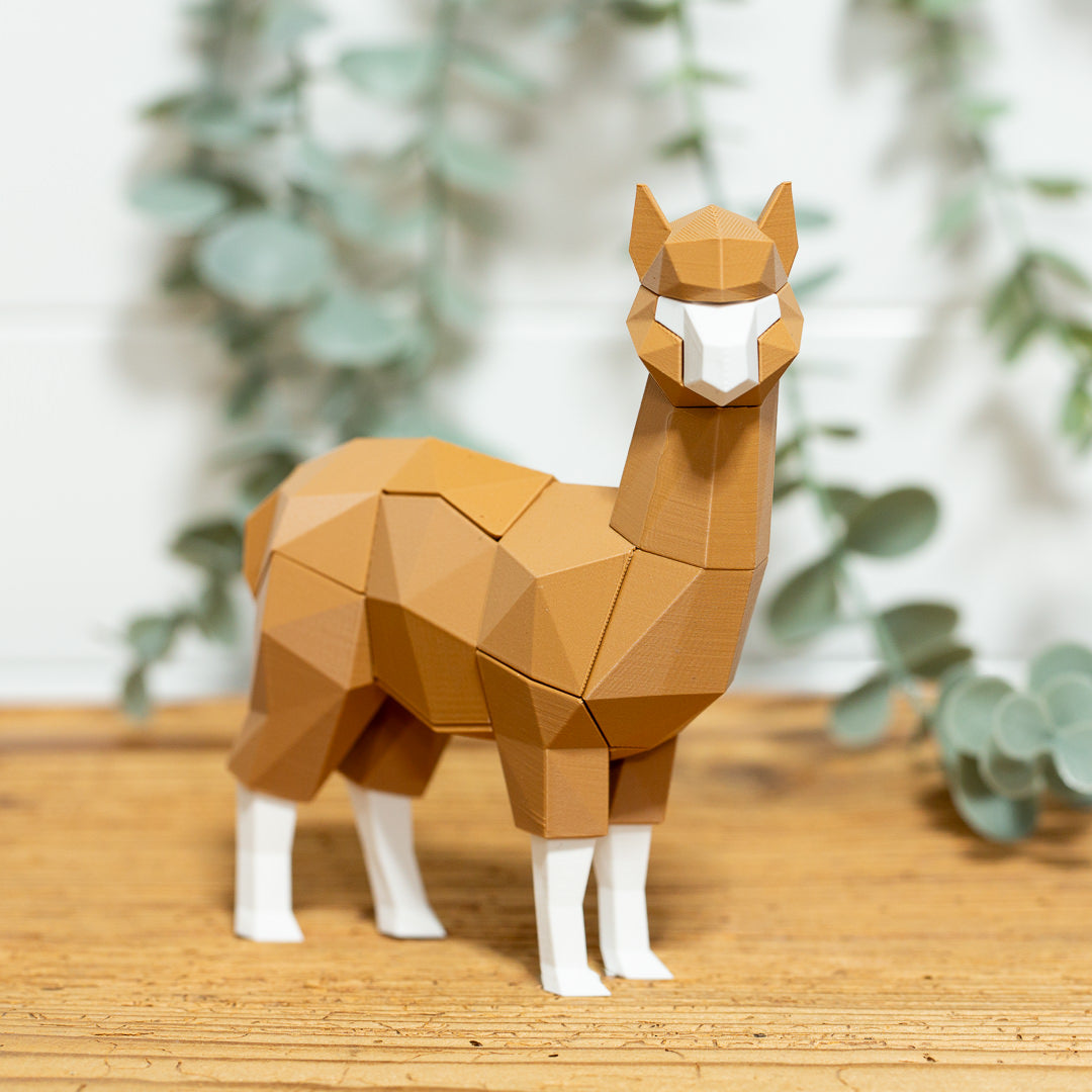 ALPAKA 3D Magnet Puzzle