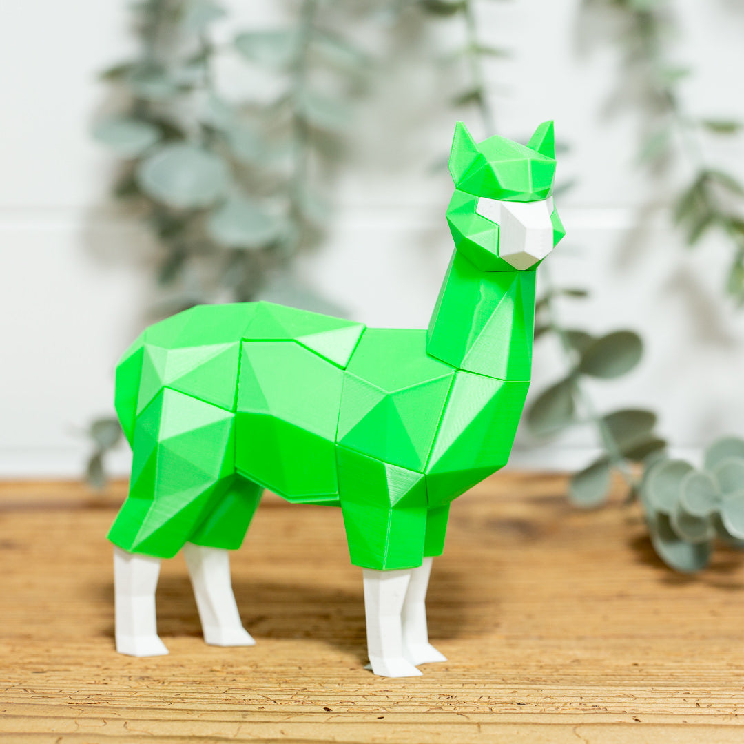 ALPAKA 3D Magnet Puzzle