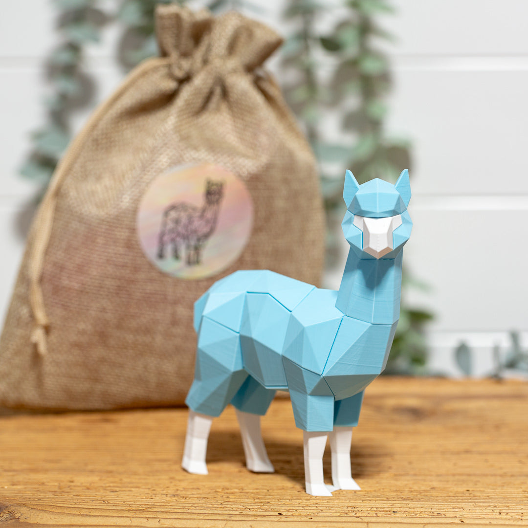 ALPAKA 3D Magnet Puzzle