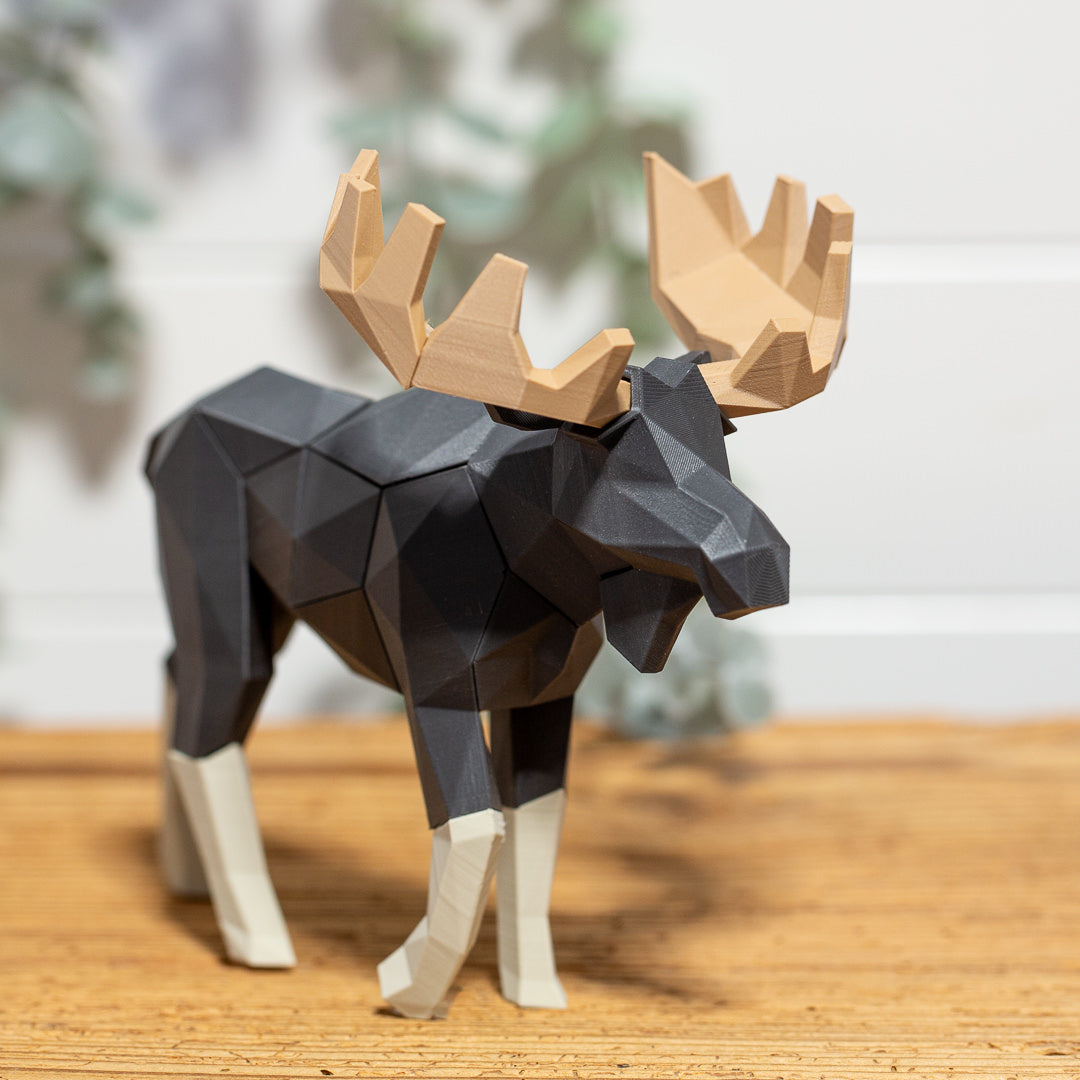 ELCH 3D Magnet Puzzle