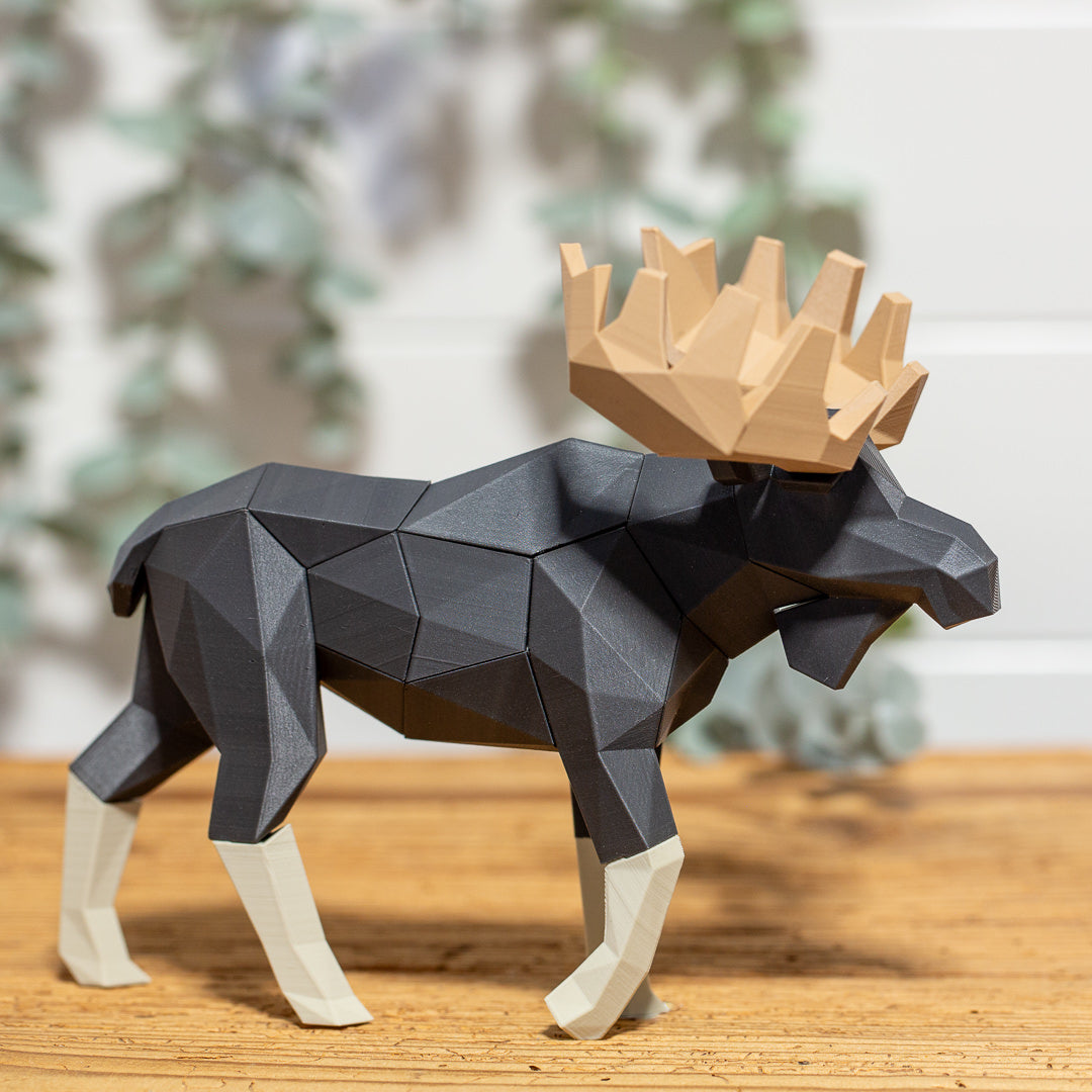 ELCH 3D Magnet Puzzle