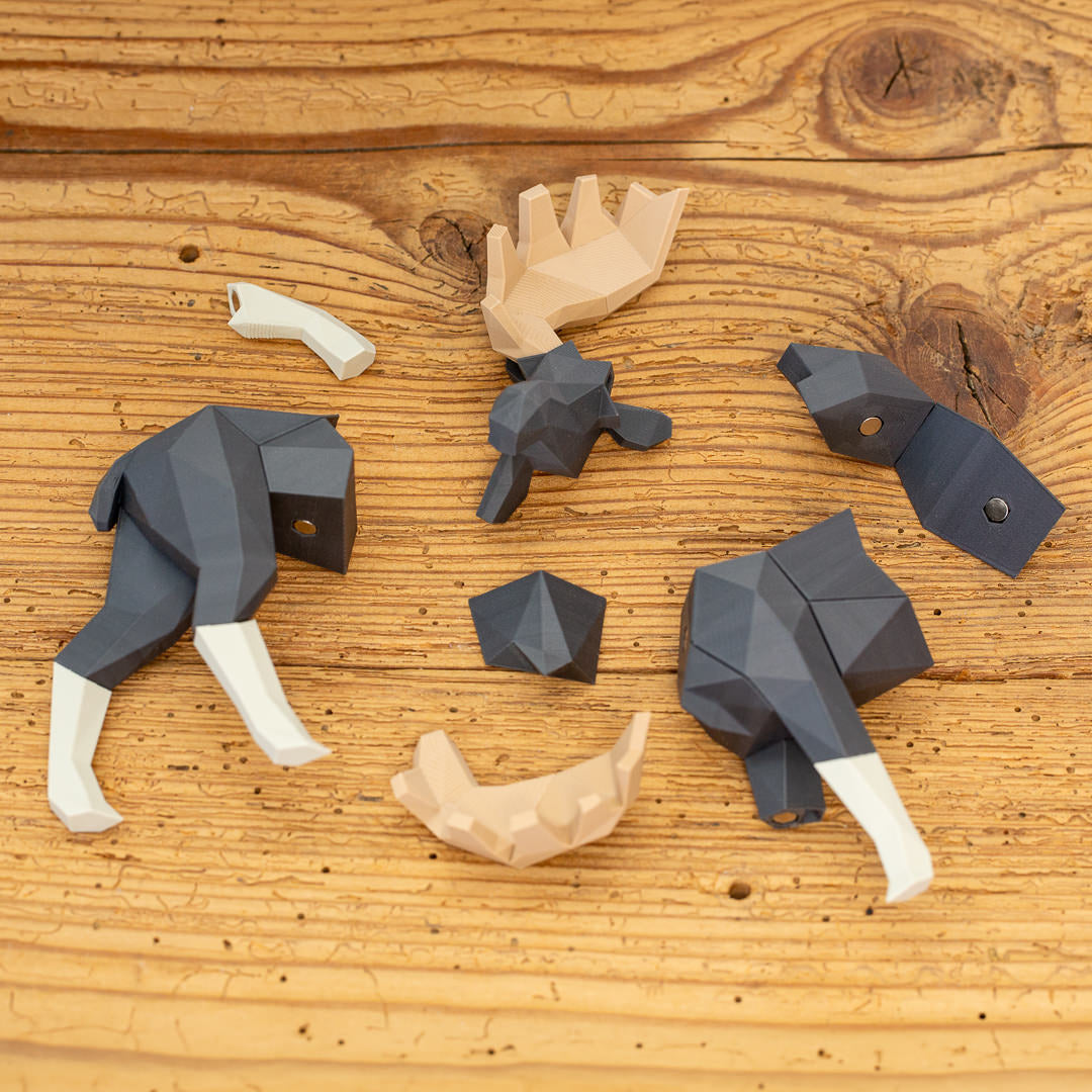 ELCH 3D Magnet Puzzle