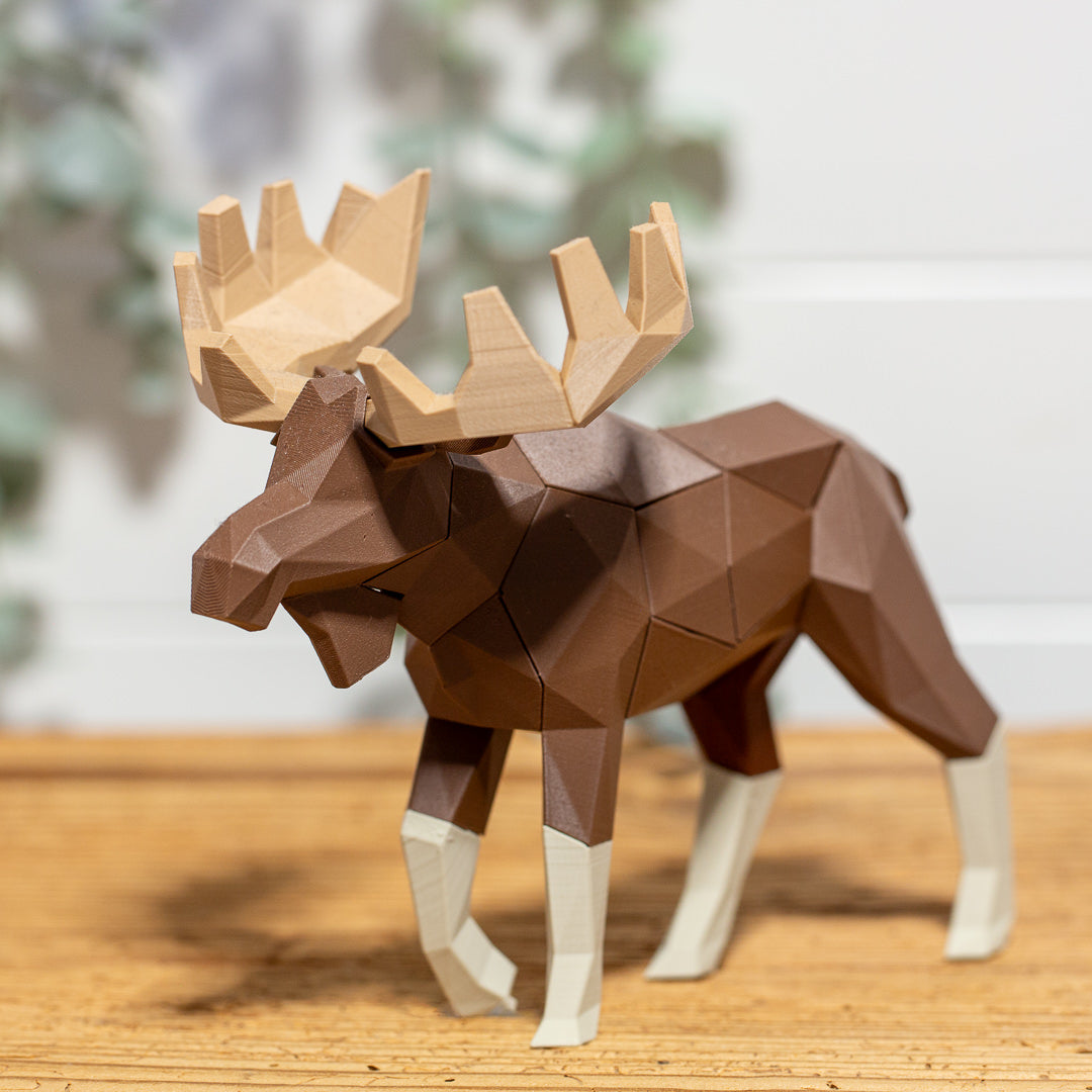 ELCH 3D Magnet Puzzle