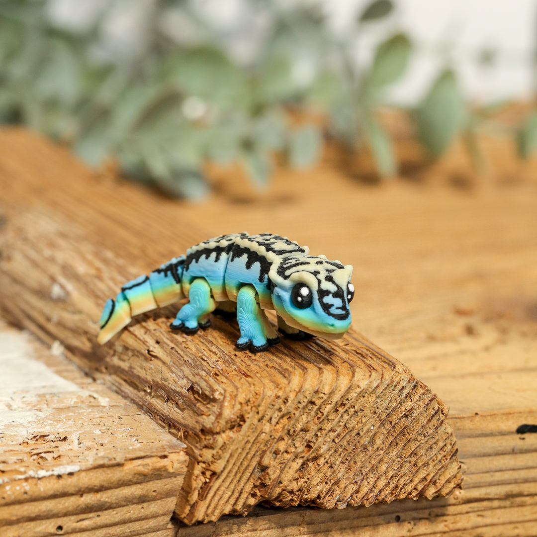 BLITZ der Gecko