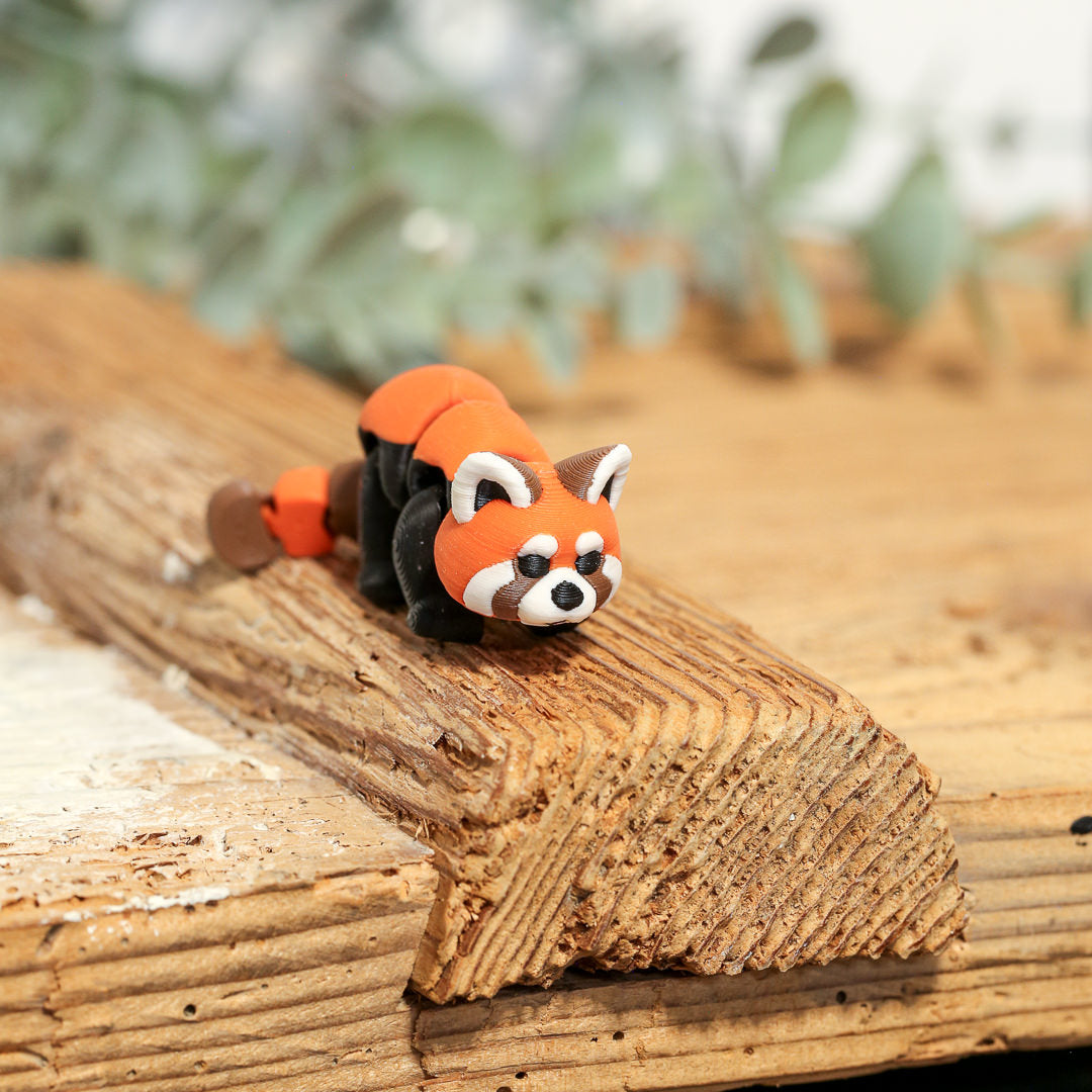 KARA der Rote Panda