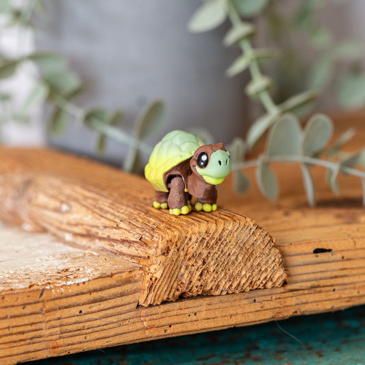 LOTTI die Schildkröte