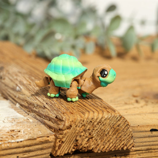 LOTTI die Schildkröte