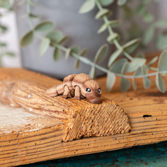 PERRY das Schnabeltier