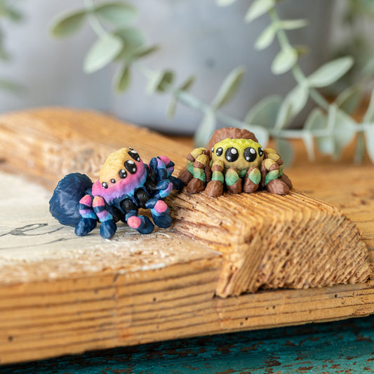 SPAIDY die Vogelspinne