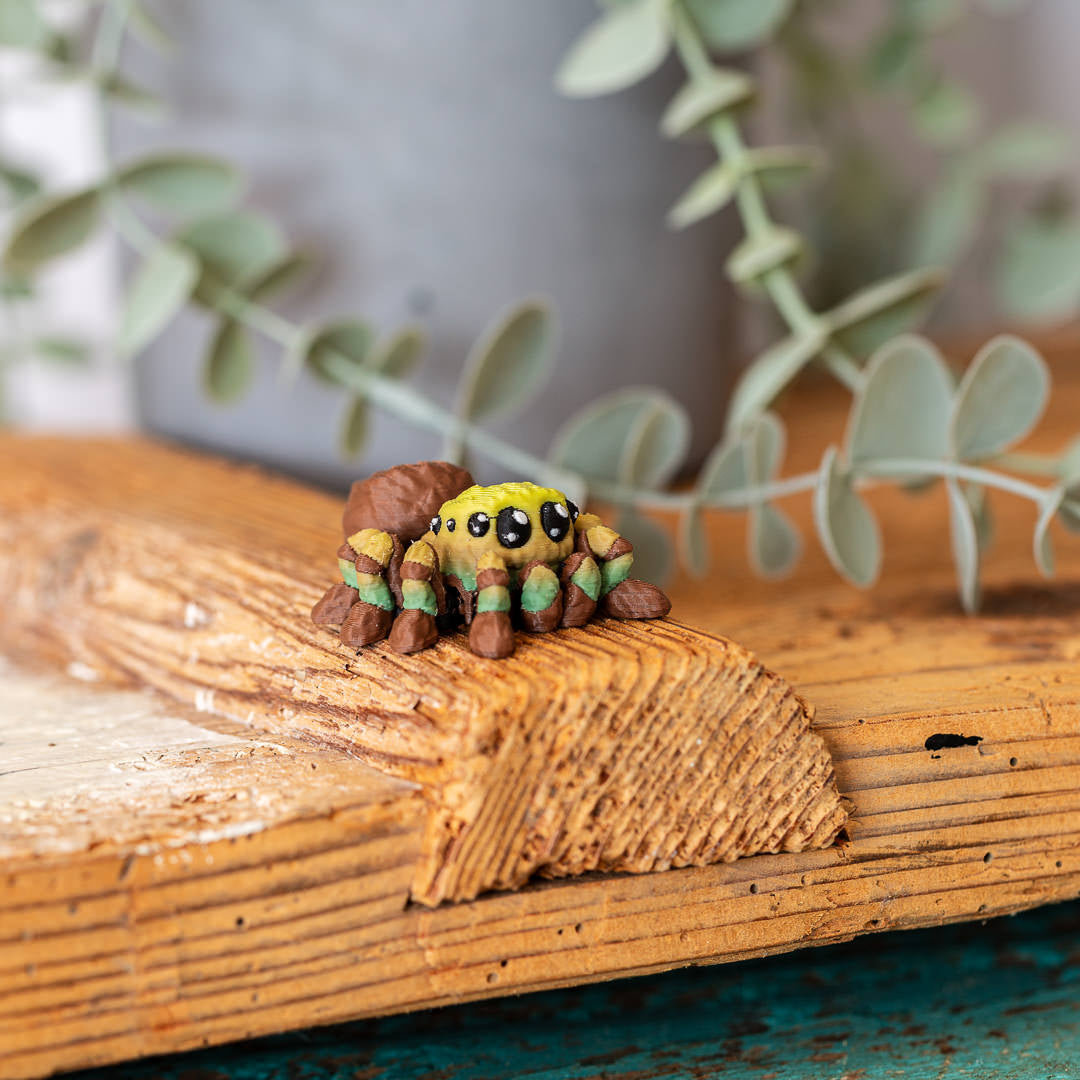 SPAIDY die Vogelspinne