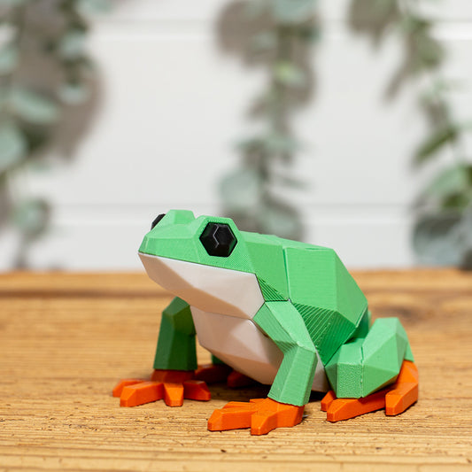 FROSCH 3D Magnet Puzzle