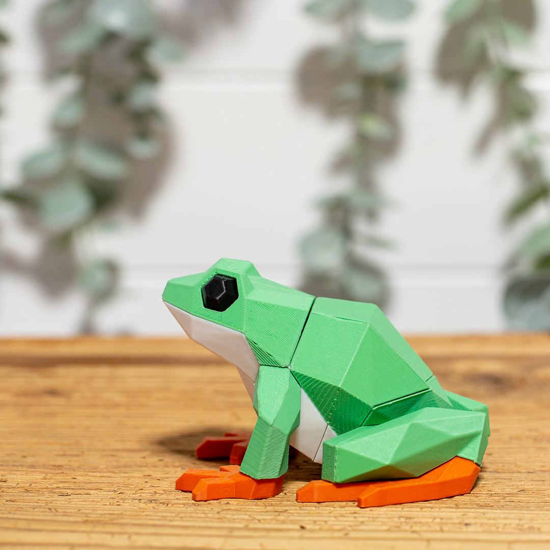 FROSCH 3D Magnet Puzzle