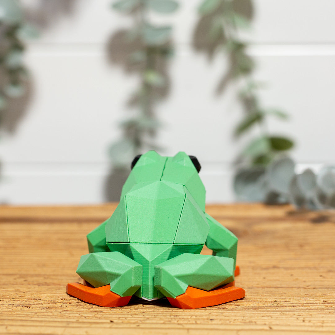 FROSCH 3D Magnet Puzzle