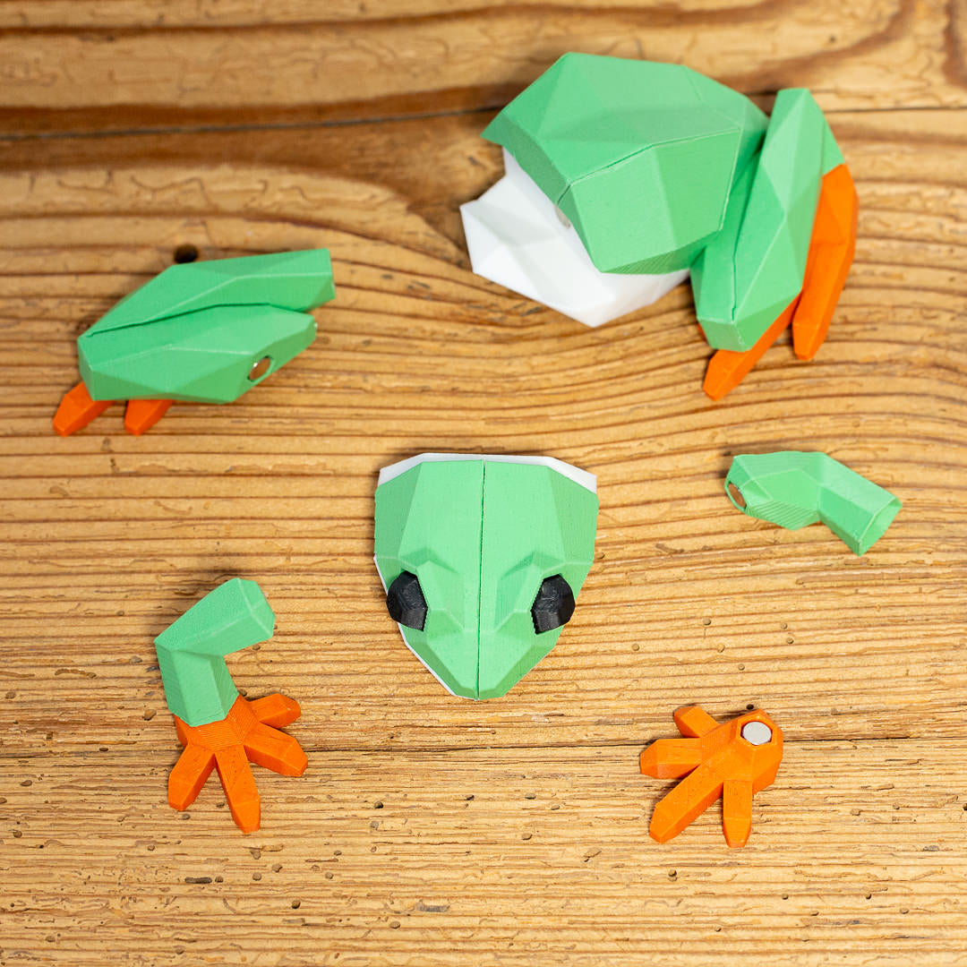 FROSCH 3D Magnet Puzzle