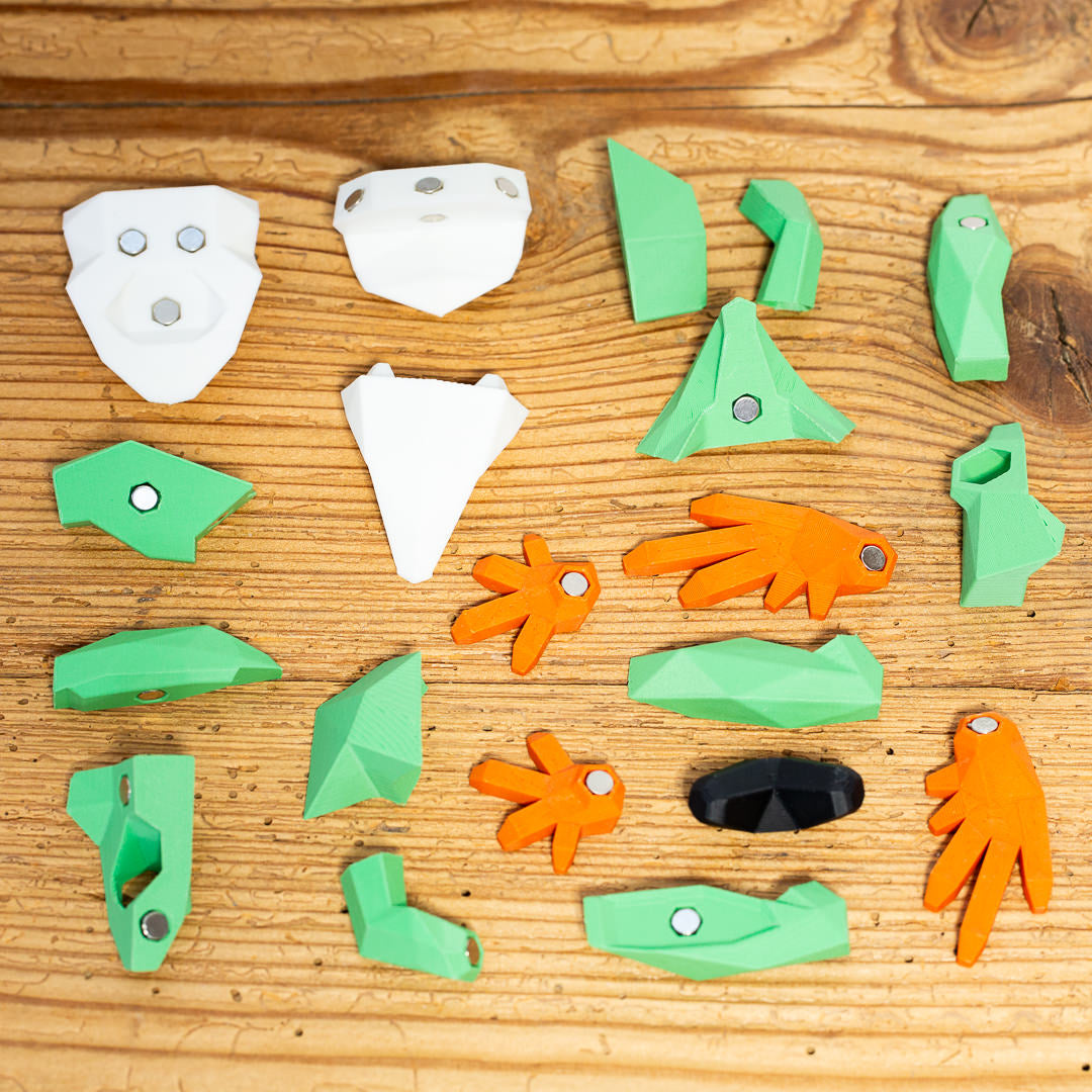 FROSCH 3D Magnet Puzzle