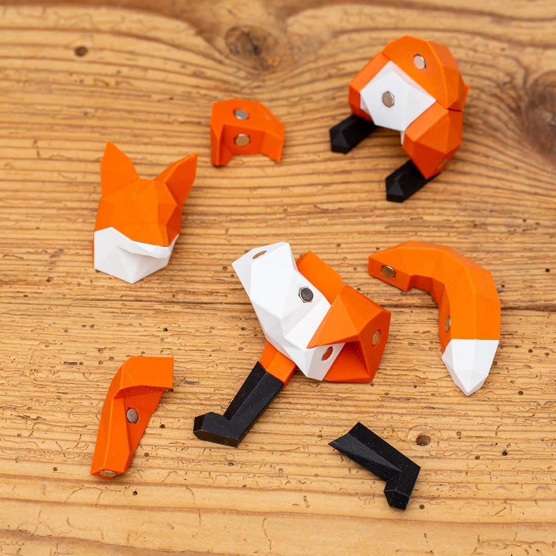 FUCHS 3D Magnet Puzzle