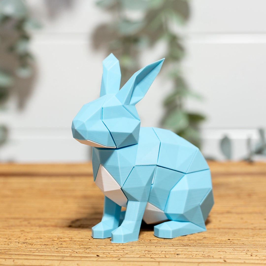 HASE 3D Magnet Puzzle