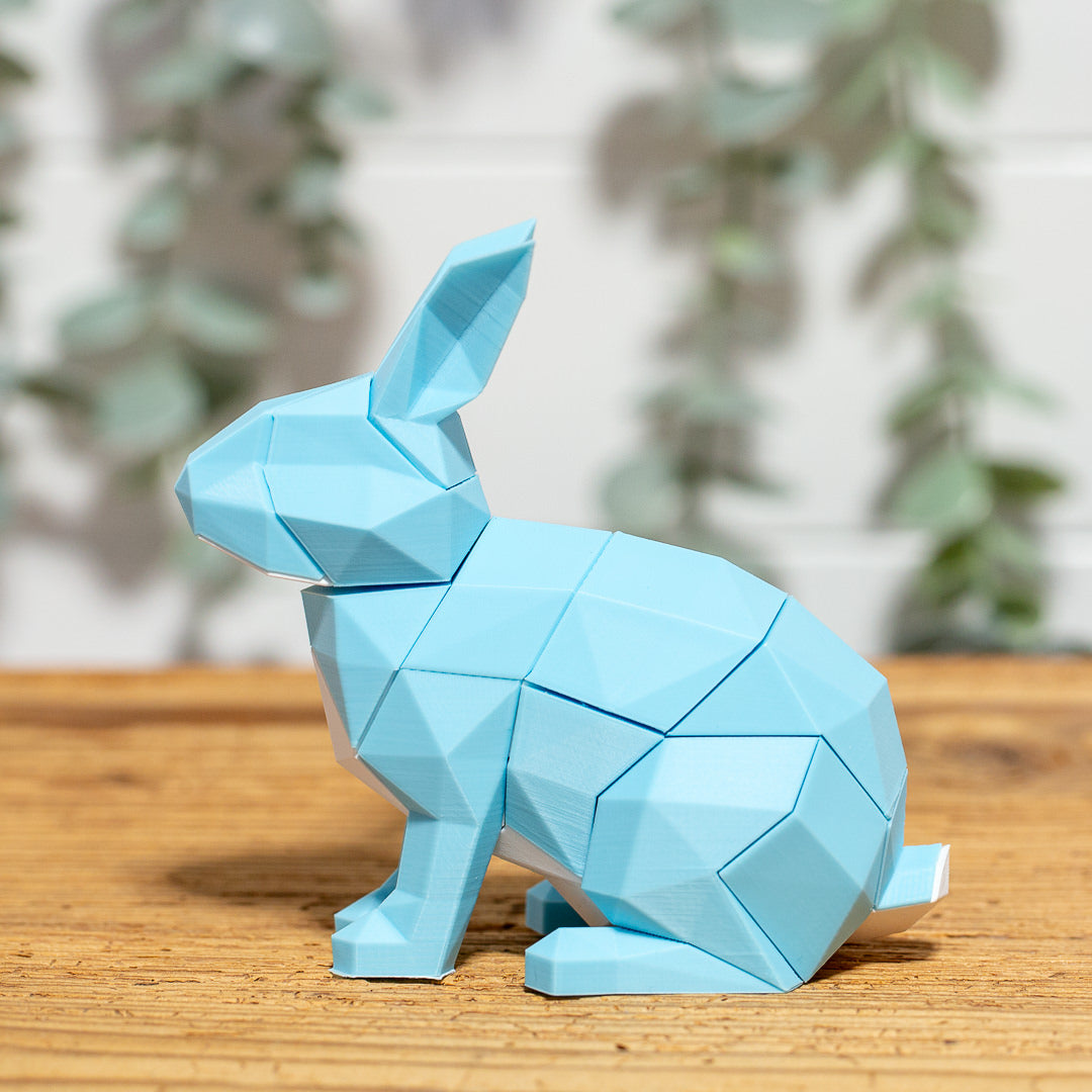HASE 3D Magnet Puzzle