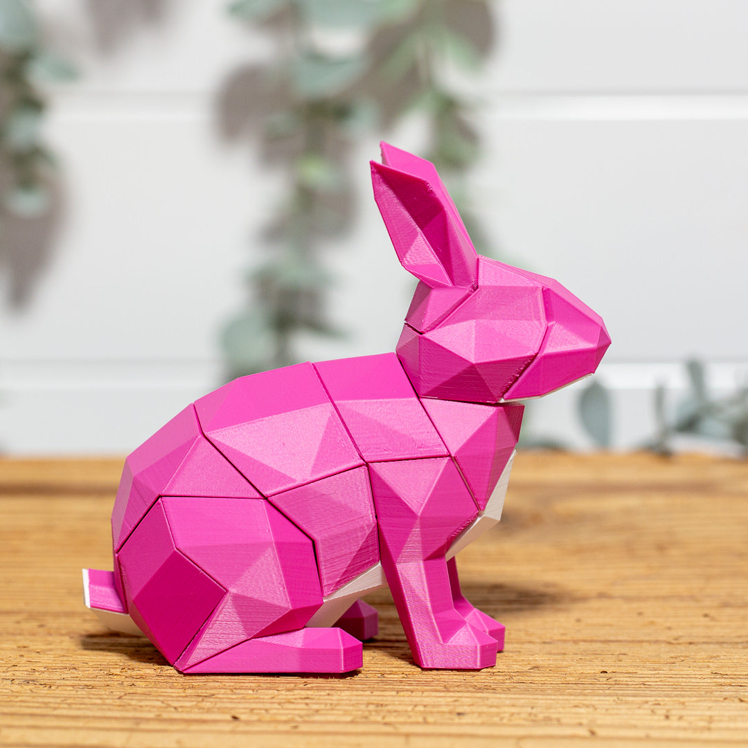 HASE 3D Magnet Puzzle