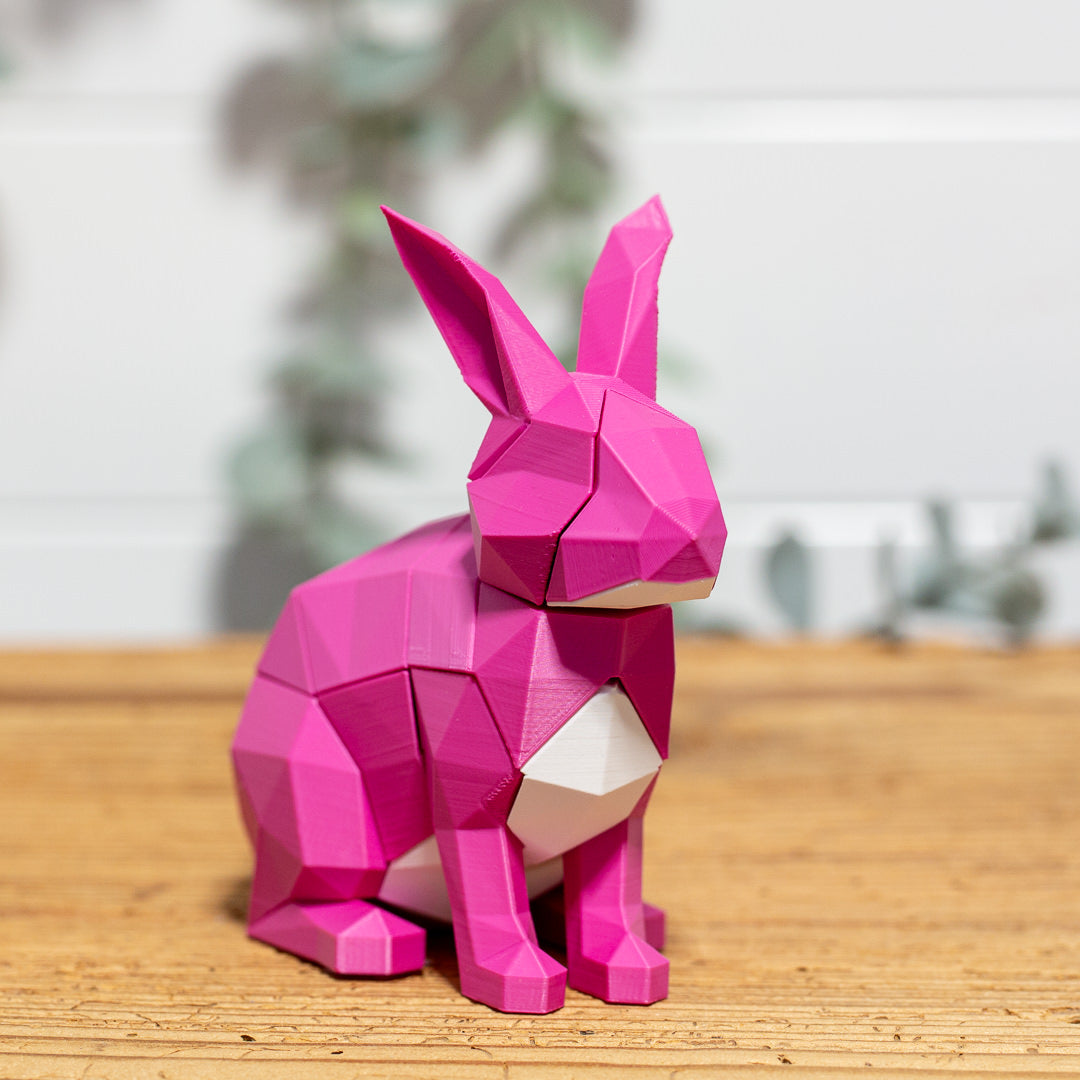 HASE 3D Magnet Puzzle