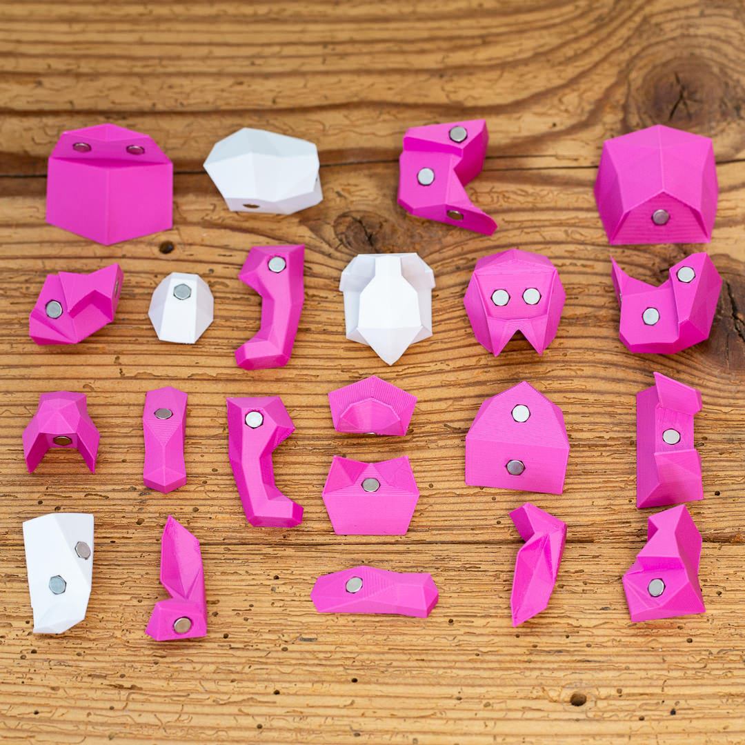 HASE 3D Magnet Puzzle