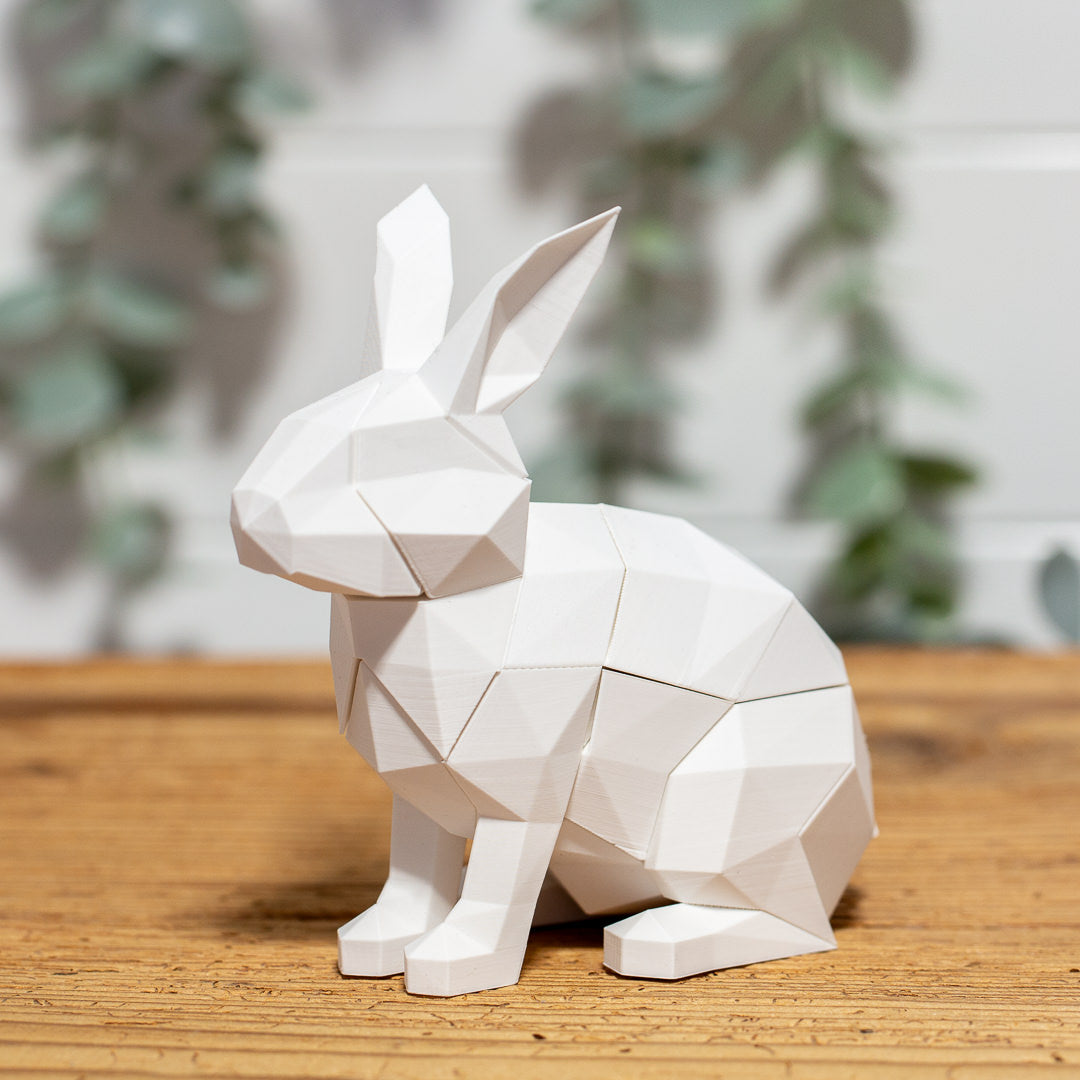 HASE 3D Magnet Puzzle