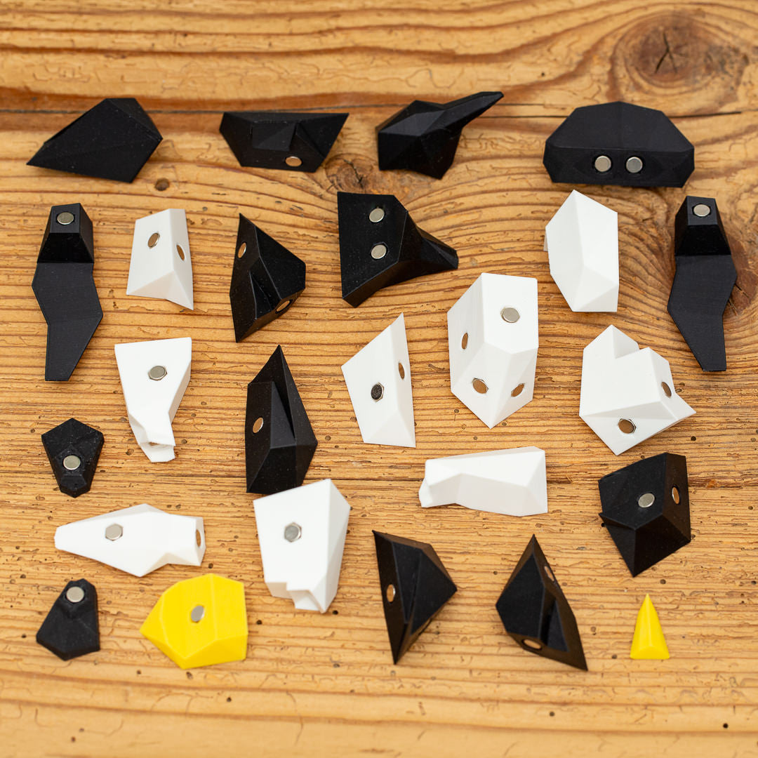 PINGUIN 3D Magnet Puzzle